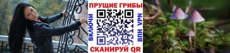 Псилоцибиновые грибы ЛСД  Руза 